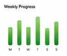 Weekly progress chart